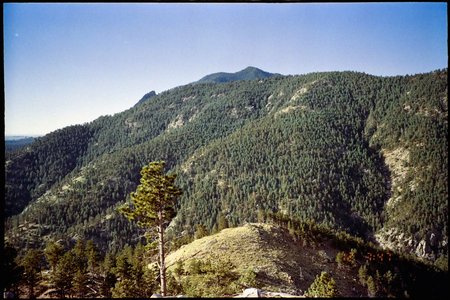 FilmRoll-Gold200-Sureshot-WedMornRun-2024-06-12-094