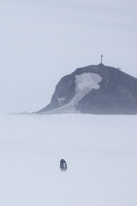 Antarctica-134